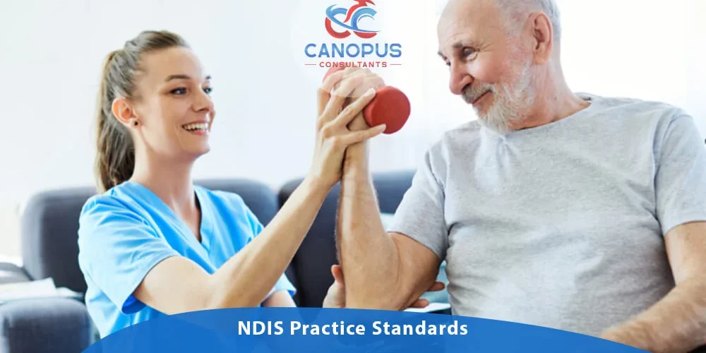 What Are NDIS Practice Standards?