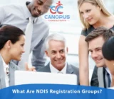 What Are NDIS Registration Groups?